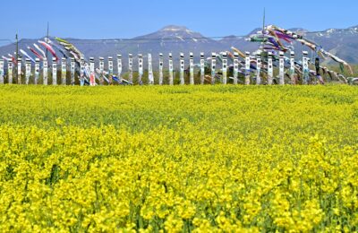 2026年ゴールデンウィーク休業のお知らせ